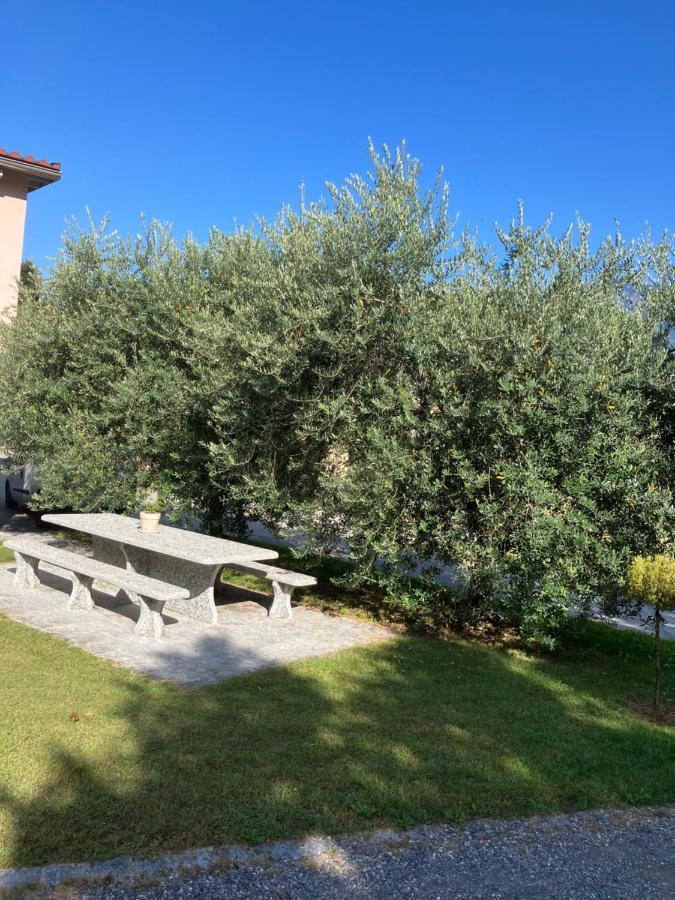 Residenza Giovanni 콘톤 외부 사진